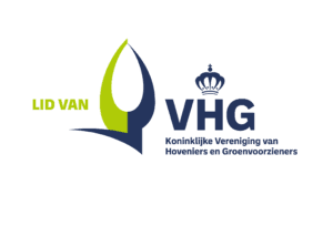 VHG Logo